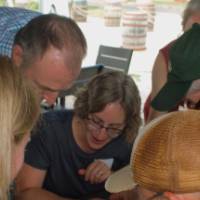 Educators sample water quality and identify macroinvertebrates.